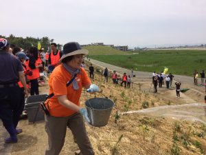 植樹の後バケツを使って水を撒いています。理事長の大嶽